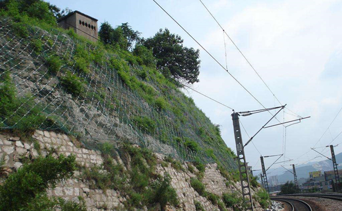 絞索網工程案例